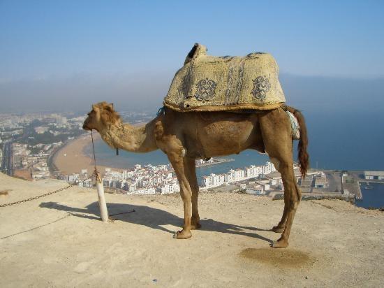 아가디르 Dar Diafa 아파트 외부 사진